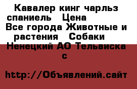 Кавалер кинг чарльз спаниель › Цена ­ 40 000 - Все города Животные и растения » Собаки   . Ненецкий АО,Тельвиска с.